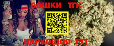 индика Боровичи
