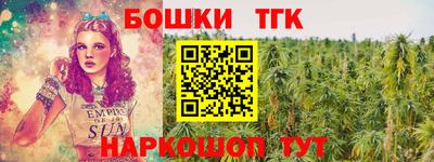 индика Боровичи