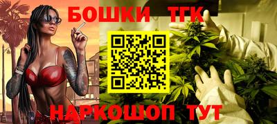индика Боровичи