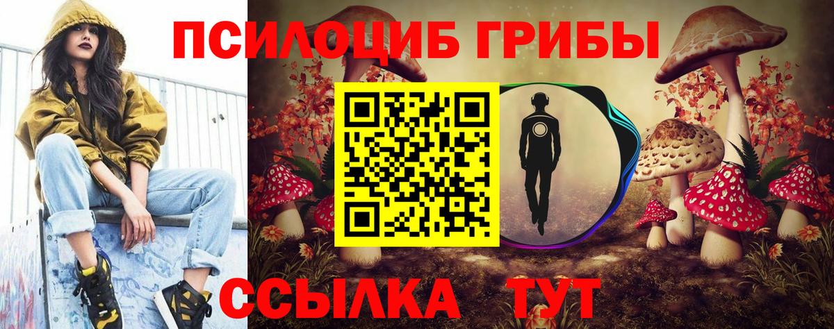 Псилоцибиновые грибы ЛСД  Вход с VPN  Баксан 