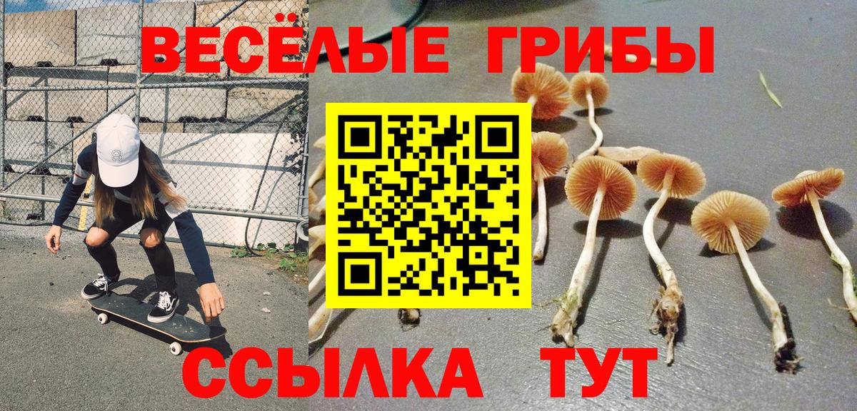 Галлюциногенные грибы прущие грибы Баксан