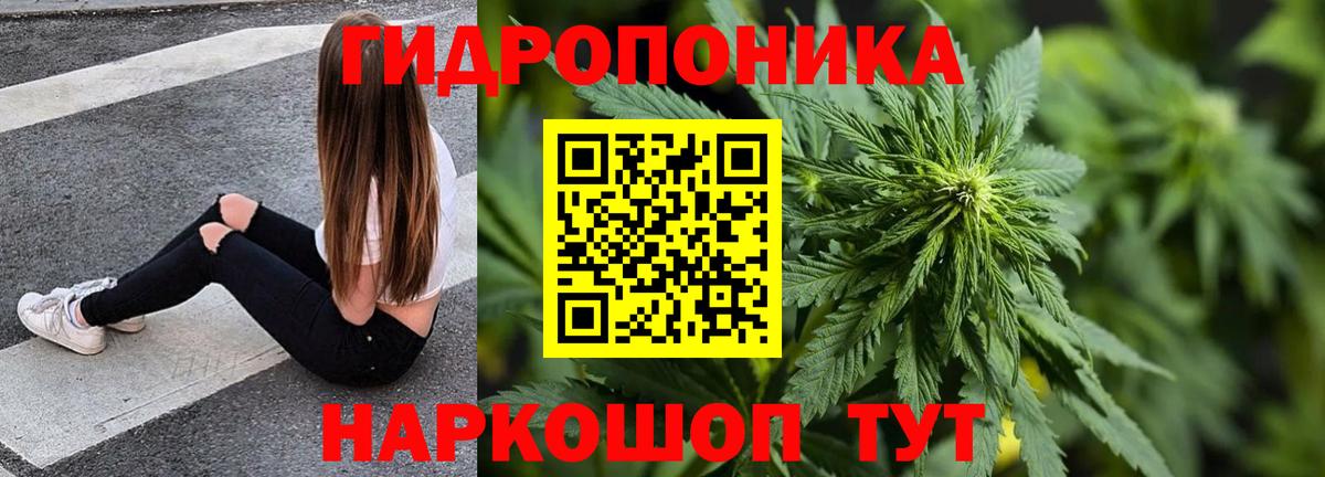 Бошки марихуана MAZAR  Бошки Шишки Bruce Banner  Баксан  Каннабис сатива  Вход с VPN 